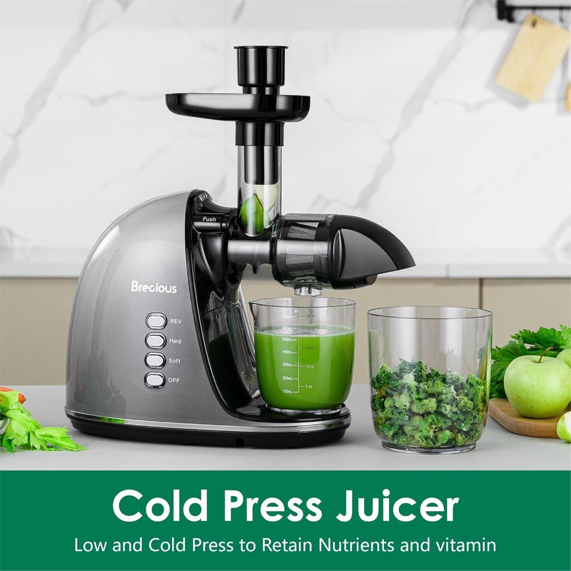 BRECIOUS Slow Masticating Juicer, Cold Press Juicers with 2 Speed Modes & Quiet Motor,Juicers Machines Vegetable and Fruit with Reverse Function,Celery Juicer,BPA-Free,Easy to Clean (Silver) - Image 2